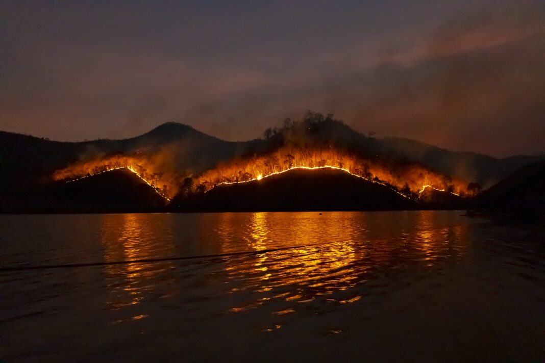 incendi boschivi