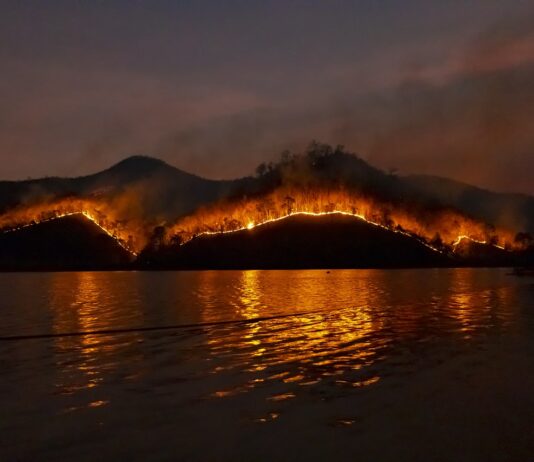 incendi boschivi